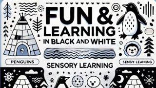 Black and White ABCs: A Visual Treat for Newborns and  visual tracking !