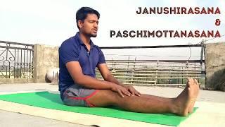 JANUSIRSASANA & PASCHIMOTTANASANA I हिंदी में I STEPS I BENEFITS WITH PRECAUTION I