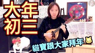 初三「迎春花」 ｜曼陀林：陳子涵｜新年歌曲 Chinese New Year Song