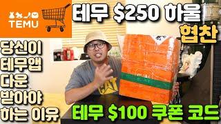 테무 (티무) 무료 $100 쿠폰 받아가세요~ $250 Temu 하울 협찬!