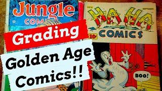 The Daily Grade | Grading a stack of 1940s Golden Age comic books! Looney Tunes! Jungle Comics!