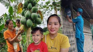 Single mother went to harvest cucumbers and papayas to sell at the market.