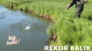 Fishing - Battle in the Creek - RECORD TROUT FISH