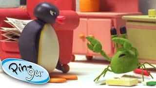 Pingu and the School Pet | Pingu Official | Cartoons for Kids