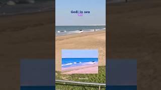 Gedi #enjoy #drive #sea #beach #beachlife #ytshort  #punjabi #song #trending