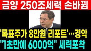 긴급속보! 금양 250조 역대급세력 들어오자 "목표주가 8만원" 류광지회장 경악 1초만에 6000억을 쓸어모았다고? 미친자금력 누구였나