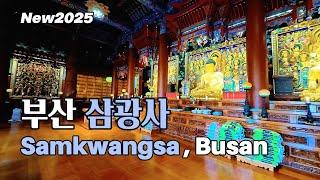 [ENG] 부산사찰 천태종 삼광사 | 제2의 구인사 - 외국인이 많이 찾는 도심속 추천명소. 부산에서 신도가 가장많은  불교사찰 드론영상 포함. 대한민국