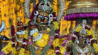 Shri Radha Govind Dev ji ki Dhoop aarti Happy Janmashtami 26 August 2024 Monday