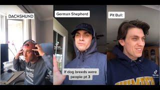 If dog breeds were human #FunnyTiktok