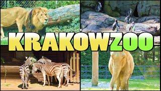 KRAKÓW ZOO - Ogród Zoologiczny w Krakowie - Poland (4K)