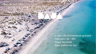 Epic BAJA Vanlife Gathering & Festival - Escapar a la Baja, Cuatro