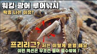 서해 광어 루어낚시  프리리그 한번 써보실래요?