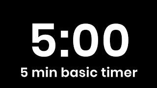 5 Minute Timer with blank screen and NO MUSIC