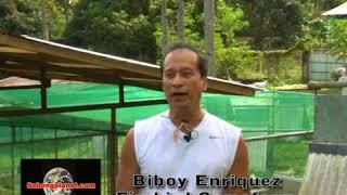 Biboy enriquez breeding station