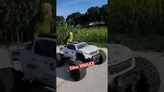 TRAXXAS XMAXX EXTREME VIDEOS DINO FEARLESS PARROT 