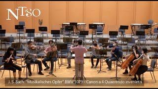 NTSO join musicalofferingweiwuying