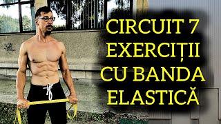 1.1 CIRCUIT - 7 exerciții banda elastică