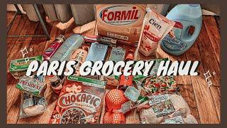 GROCERY shop with me in Paris! - GROCERY HAUL! (Indo Subs)