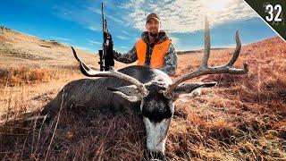 WIDE Mule Deer Buck! (Spot and Stalk Hunt + Pheasants and Grouse!)