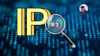 一个视频搞清楚原生ip、住宅ip、机房ip，教你怎么查询，怎么判定ip风险值(CC字幕)