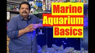 Basics of a Marine Aquarium | Mayur Dev's Tips for Keeping Healthy Saltwater Reef Aquarium  HD 1080p