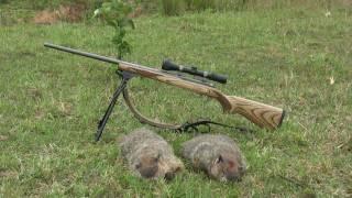 Rimfire Groundhogs - Vance Video Productions