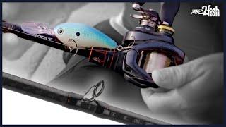 Top Crankbait Rod Setups | Keith Combs Talks Favorites