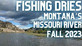 Fall Dry Fly Fishing on The Missouri River - Montana '23 Trip part 2