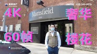 蒙特利尔小朱带您看市中心Mansifield高端奢华楼花 Mansfield Condos, AAA Location - Mansfield Condos - Montreal