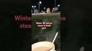 Tea  in winter ️ give next level happiness  #urdupoetry #viralvideos