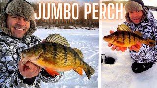 Jumbo Perch Ice Fishing Tips: Spring Bobber