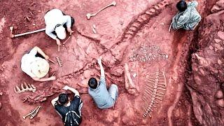 Paleontologists Amazed By Latest Dinosaur Fossil Finds