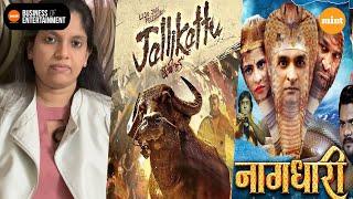 'Jallikattu' goes to the Oscars, regional cinema aids theatres