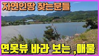 영천부동산 매물 정말 아름다운 뷰를 가지고 있는ㅣ싼땅매물 또 찾아드렸습니다ㅣ영천시 북안면