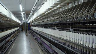 Industria textil. Te mostramos los procesos en una hilandería. Del vellón de lana al hilado(Parte 1)