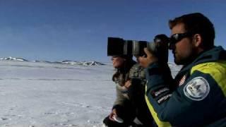 Ellesmere Island Wildlife