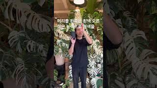 내가 알보의 왕이다!! #몬스테라알보 #plants #식물 #카페 #식물카페 #알보의왕 #노크