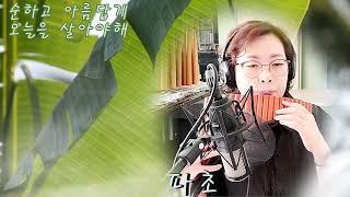 파초(수와진) Panflute 연주 조은혜