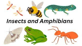 "Insects Uncovered: Fascinating Facts About  Amazing Bugs"