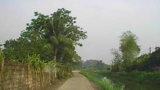 MẸ VỢ Hồi xuân