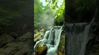 Tressure InWild Forest #nature #shorts #music #travel #trending #viralvideo #wildlife #forest #water