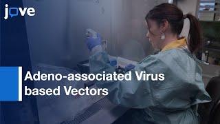 Production and Purification for Adeno-associated Virus-based Vectors