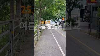 북한강철교 여름 #어느날문득 #옛날 #철교