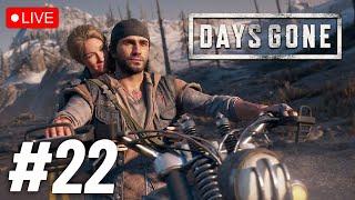 Days Gone  Hard to Survive in Zombieland?  Live Stream