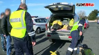 Point chaud pour les douanes I Autoroute du sud