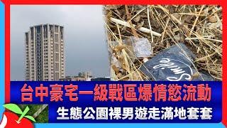 台中豪宅一級戰區爆情慾流動　生態公園裸男遊走滿地套套 | 台灣新聞 Taiwan 蘋果新聞網