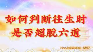 卢台长开示：如何判断往生时是否超脱六道Wenda20200301   28:07