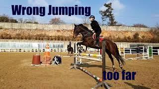 승마 장애물 비교 영상 Compare with good and wrong show jumping