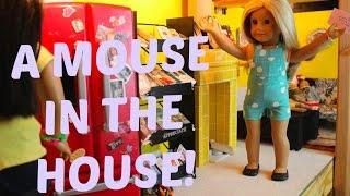 A MOUSE IN THE HOUSE! (AGSM)