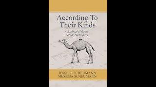 A Biblical Hebrew Picture Dictionary